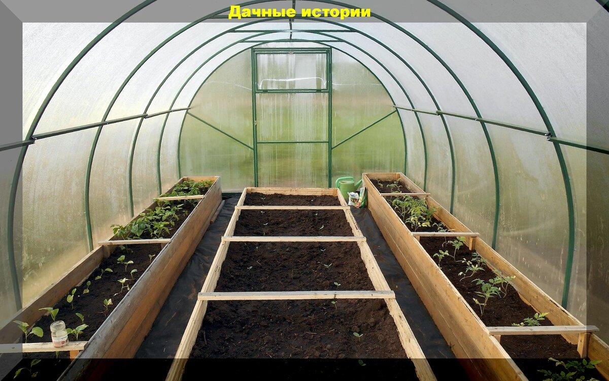 Как вырастить растения в закрытом грунте: создаем оптимальные условия для выращивания теплолюбивых растений в теплице