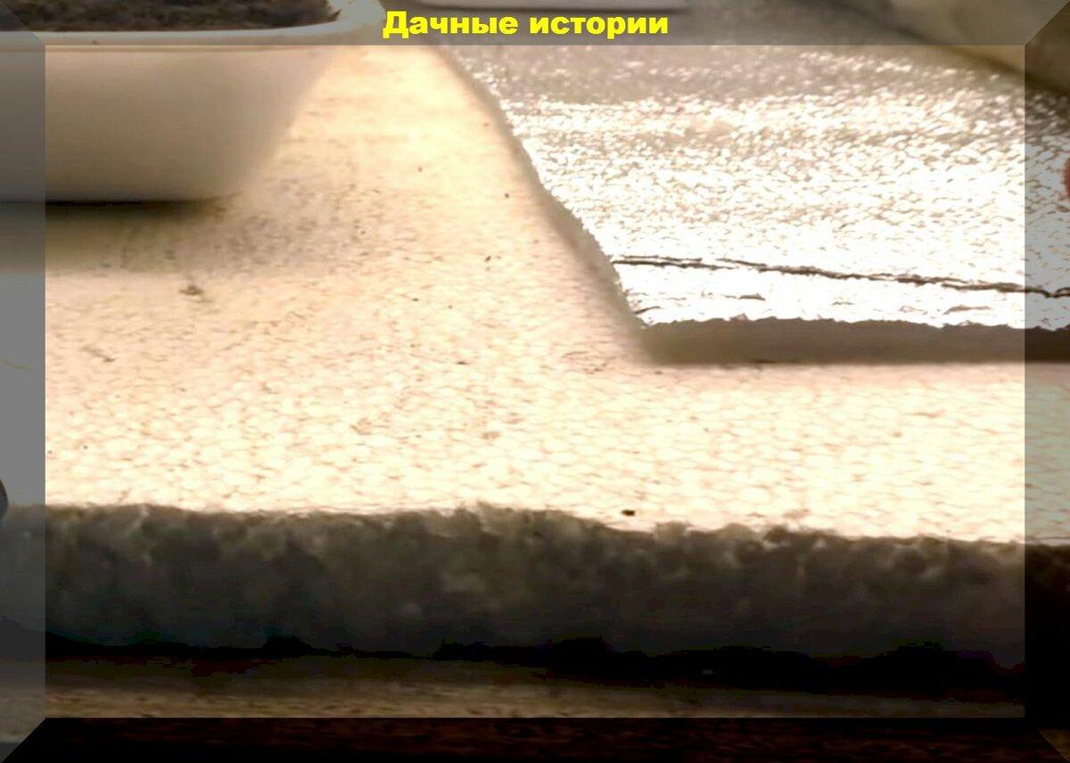 Пенопласт и губка для посуды - незаменимые помощники дачника при выращивании рассады
