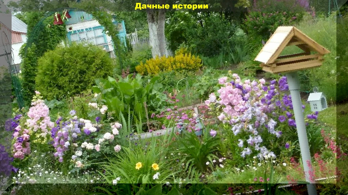 Самые важные работы в саду и цветнике в мае-июне. Советы нашего читателя
