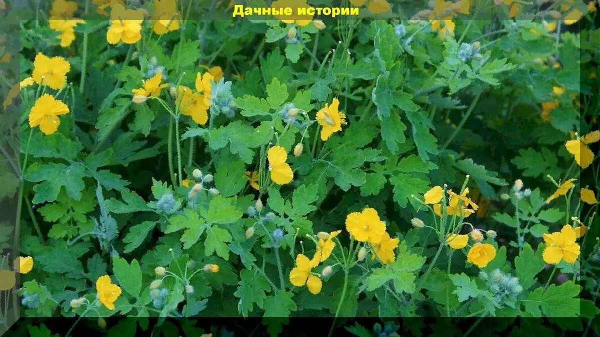 scale_1200 — 2022-08-19T074835.994
