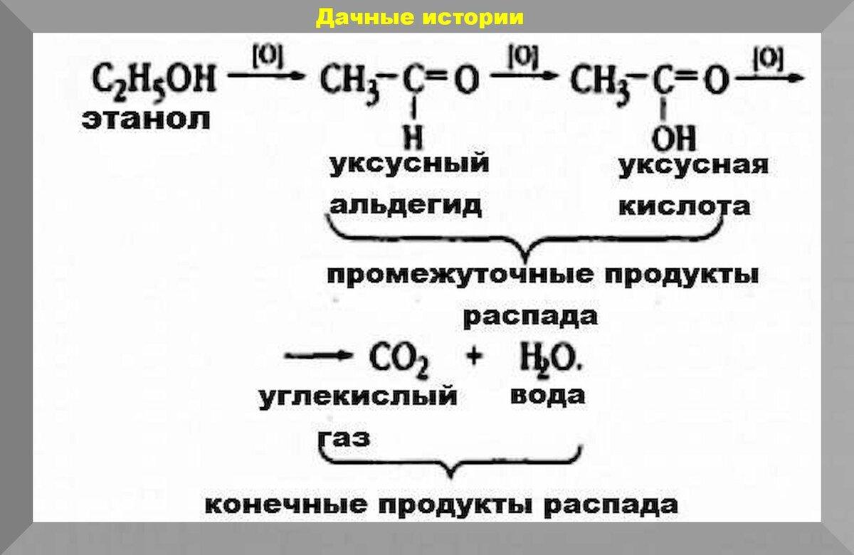 Подкормка томатов водкой: старый и эффективный метод для улучшения роста, а главное вкуса помидор