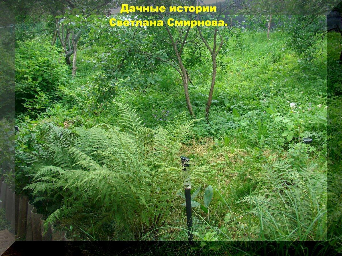 Делаем ступеньки на склоне своими руками. Несколько вариантов, пошаговые рекомендации, фото