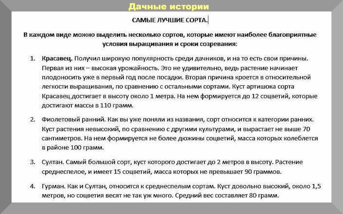 Как вырастить артишок в открытом грунте на даче из семян. Вся правда об артишоках