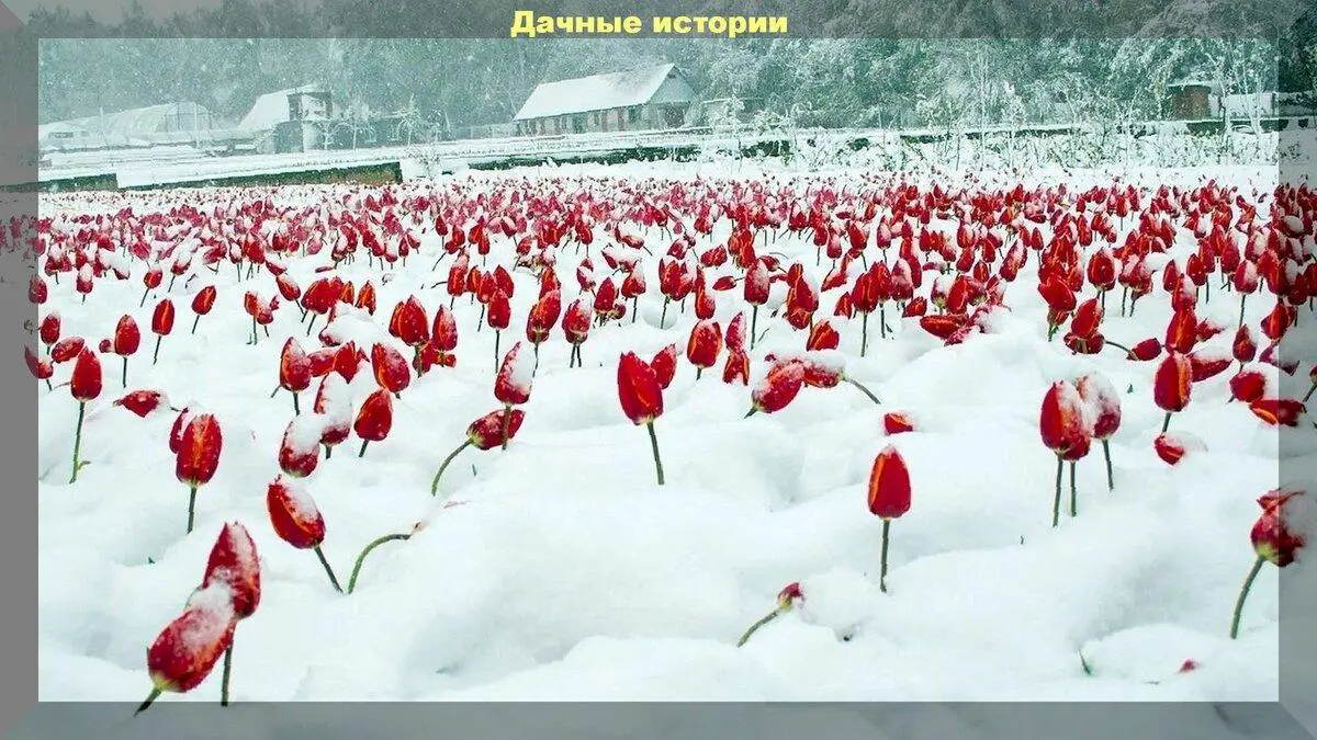scale_1200 — 2023-04-04T163149.443