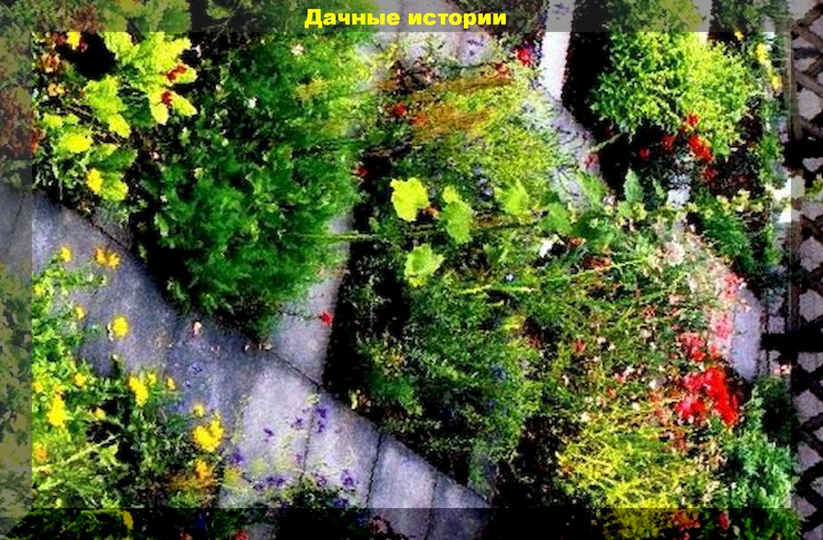 Рай для гурмана. Очень необычный палисадник у садовода в Бельгии