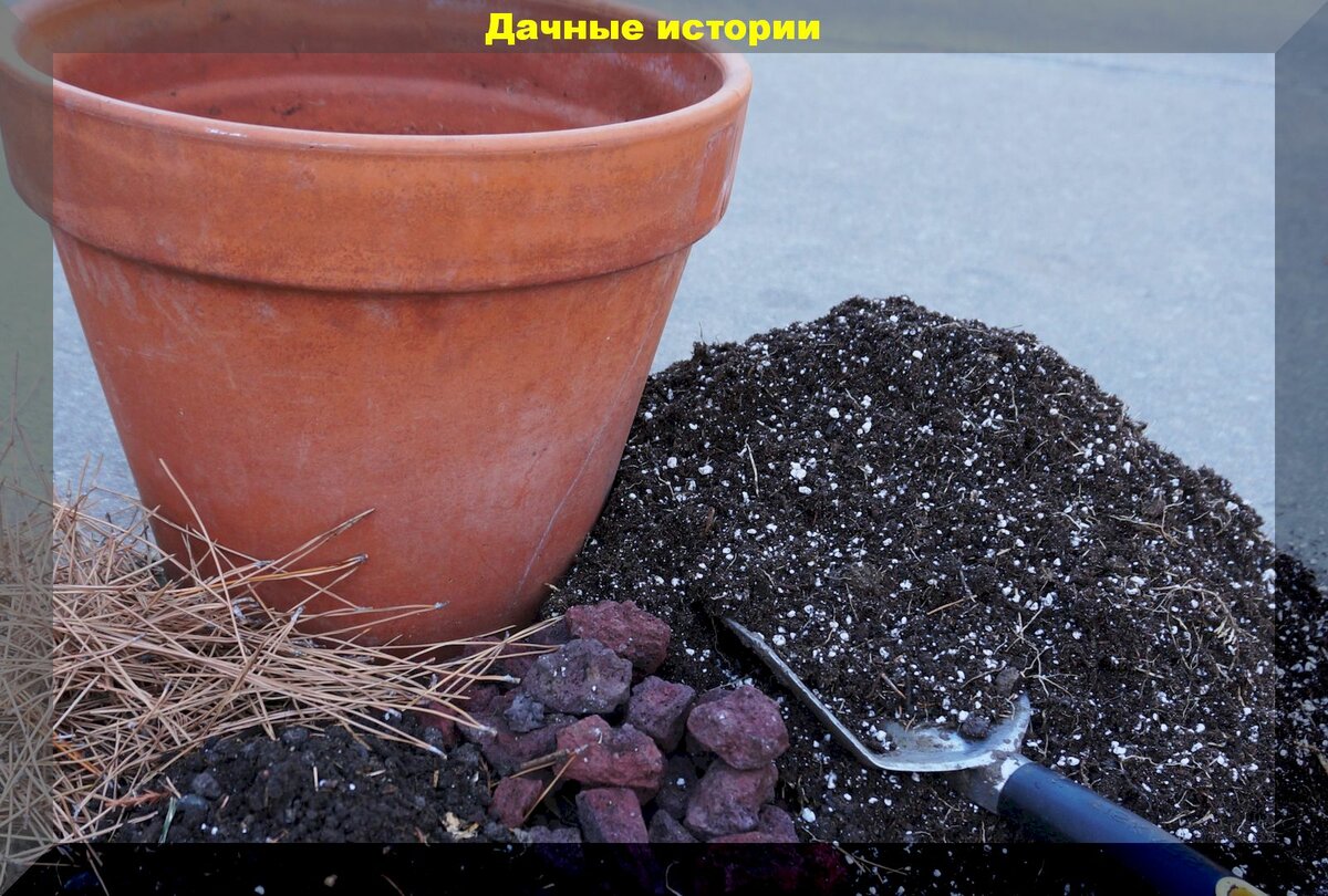 Лучшая почва для выращивания рассады: как бесплатно и без потерь в качестве заменить покупной грунт на самодельный