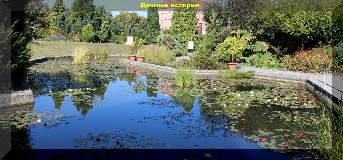 Ботанический сад Вроцлавского университета: одно из необычных и красивых мест на планете