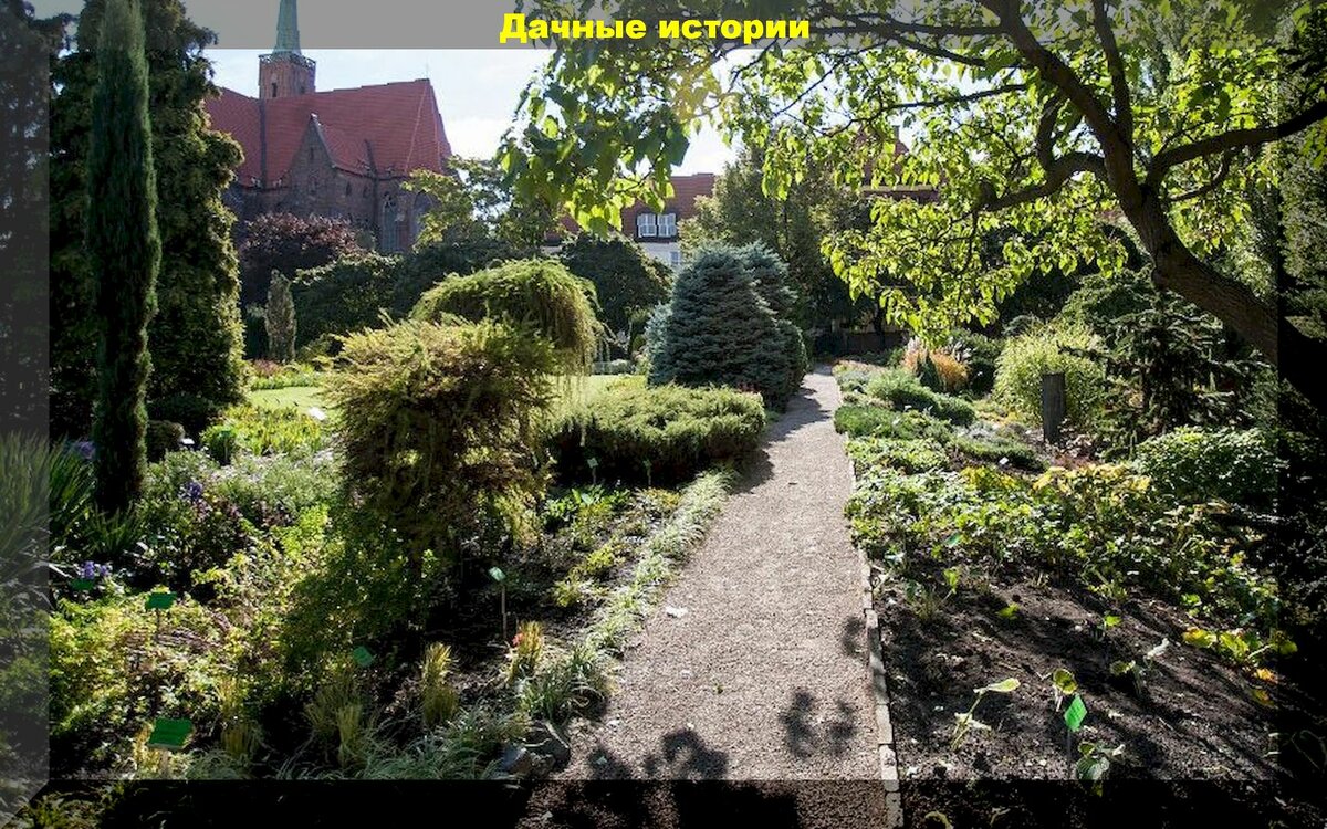 Ботанический сад Вроцлавского университета: одно из необычных и красивых мест на планете