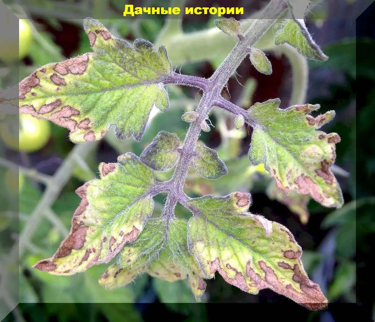 60_result