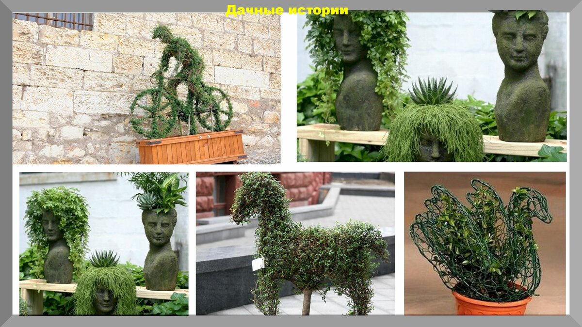 Живая скульптура из вьющихся растений - легко и необычно