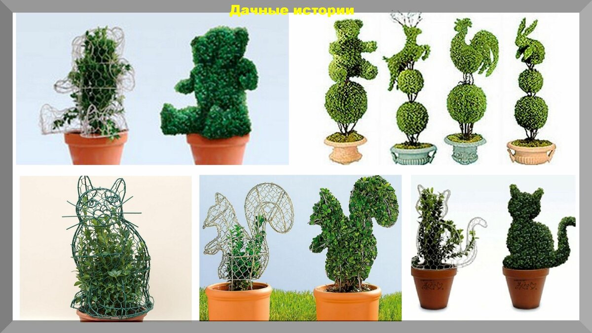 Живая скульптура из вьющихся растений - легко и необычно