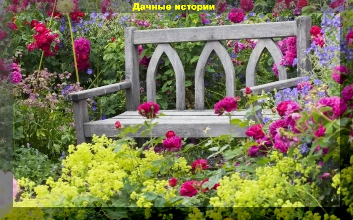 Необычный сад у дачников в Польше: цветочный рай на месте заброшенной школьной площадки