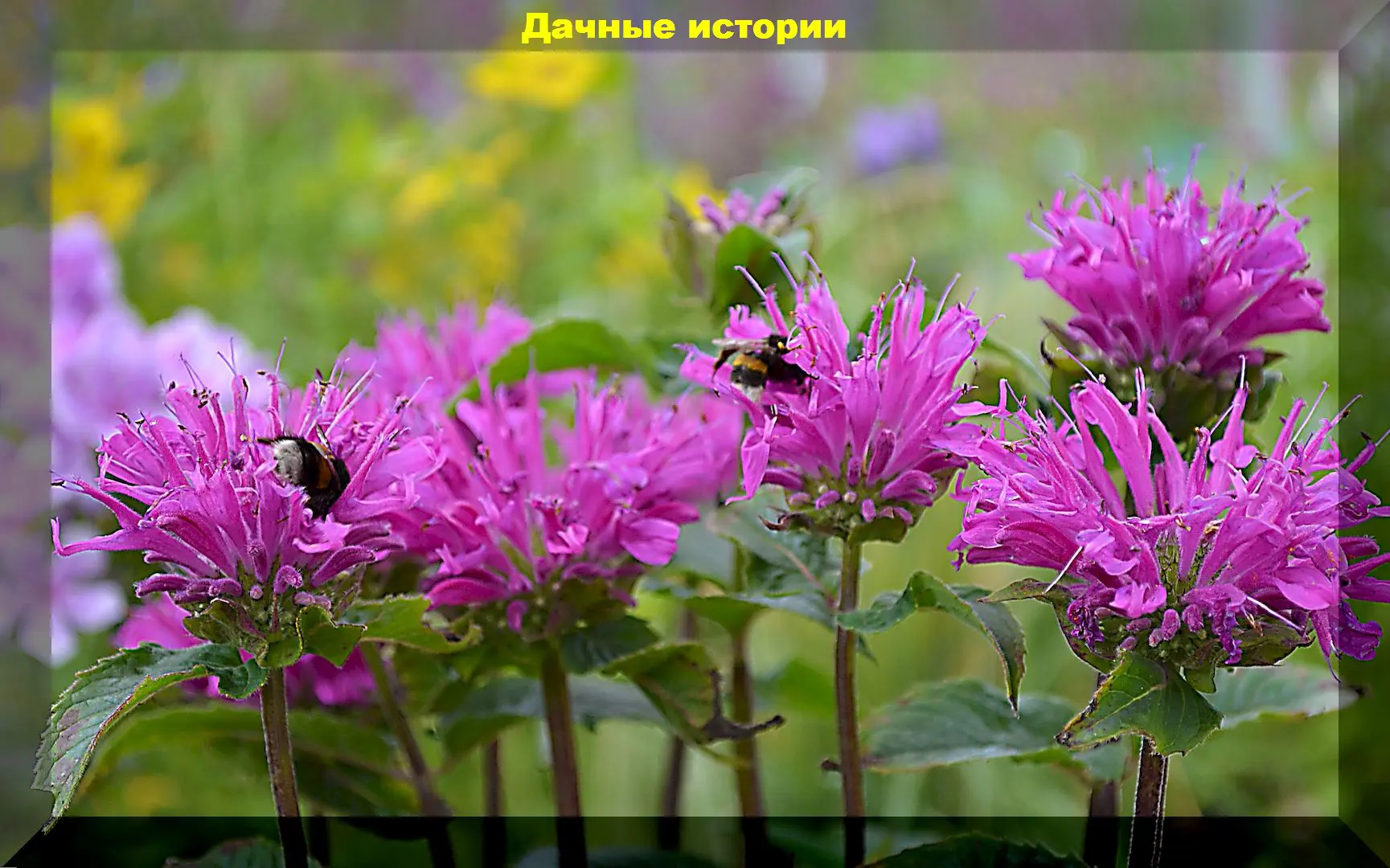 111_result