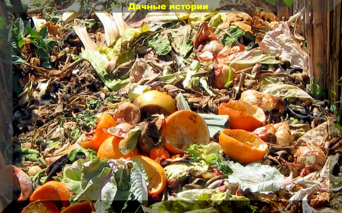 Как правильно компостировать больные растения: очень простой способ как компостировать больную ботву, гнилые яблоки и прочие отходы
