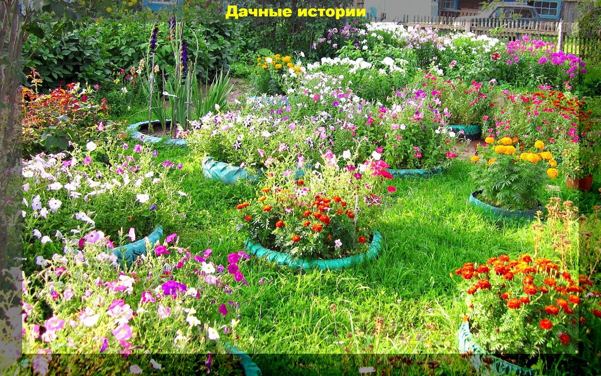 Август для садовода и огородника: самые важные дела в саду и огороде, в преддверии окончания сезона
