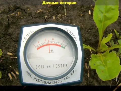 pH имеет значение. Раскисление и расщелачивание: как исправить почву на вашей даче и сделать ее подходящий для растений