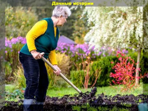 Сентябрьские работы в саду: компост из падалицы, сбор урожая, подкормки деревьев и кустарников и уход за теплицей