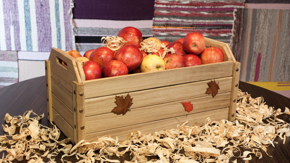 Секреты хранения яблок в подвале. Памятка садоводу