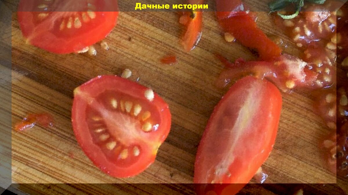 Тонкости сбора семян томатов: собирать семена томатов лучше с нижних кистей и другие главные нюансы сбора помидорных семян