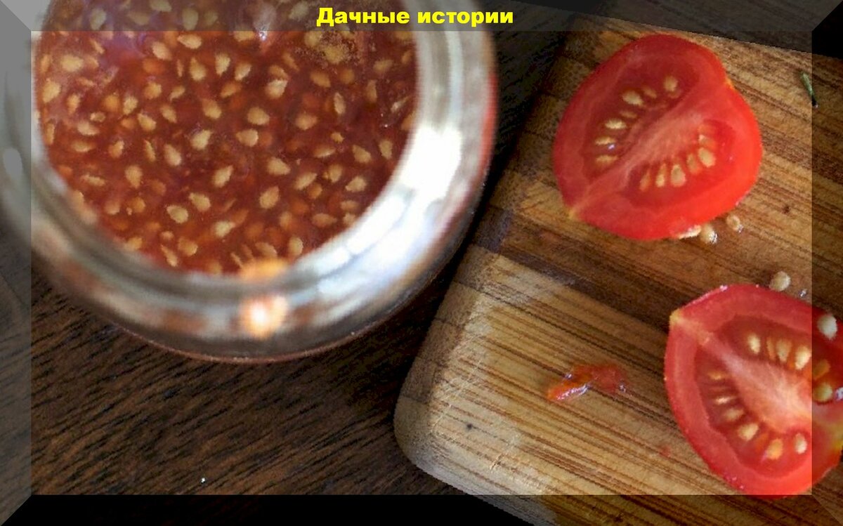 Тонкости сбора семян томатов: собирать семена томатов лучше с нижних кистей и другие главные нюансы сбора помидорных семян