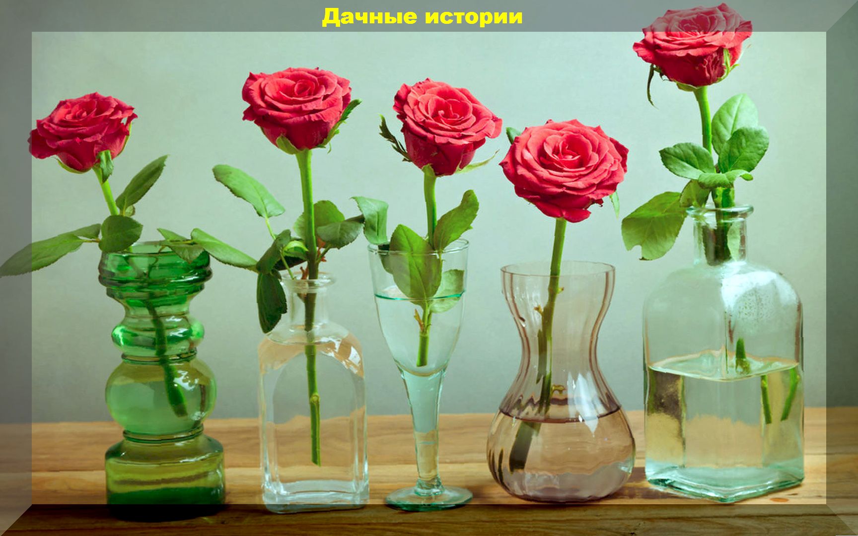 Как сохранить долго розы в вазе свежими. Цветы в вазе. Розы в вазе. Цветочки в вазе. Цветочные вазы.