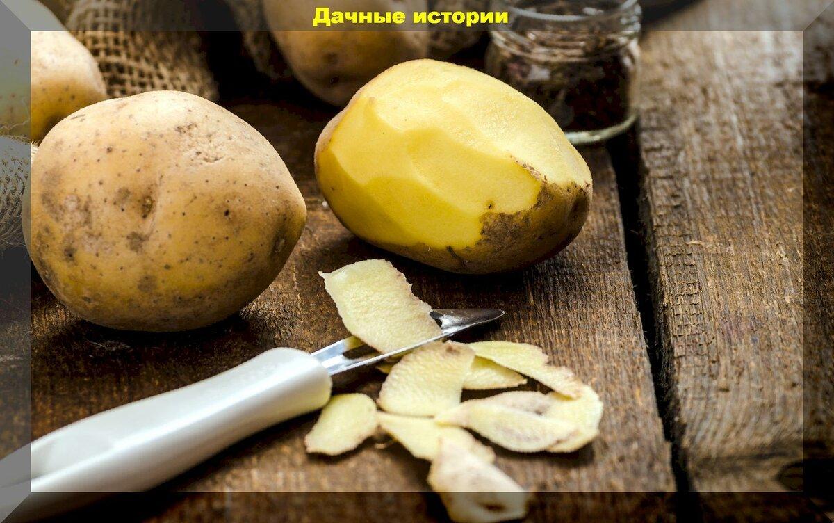 Чем полезны картофельные очистки и как их использовать на даче: картофельные очистки, как альтернатива дорогим удобрениям.