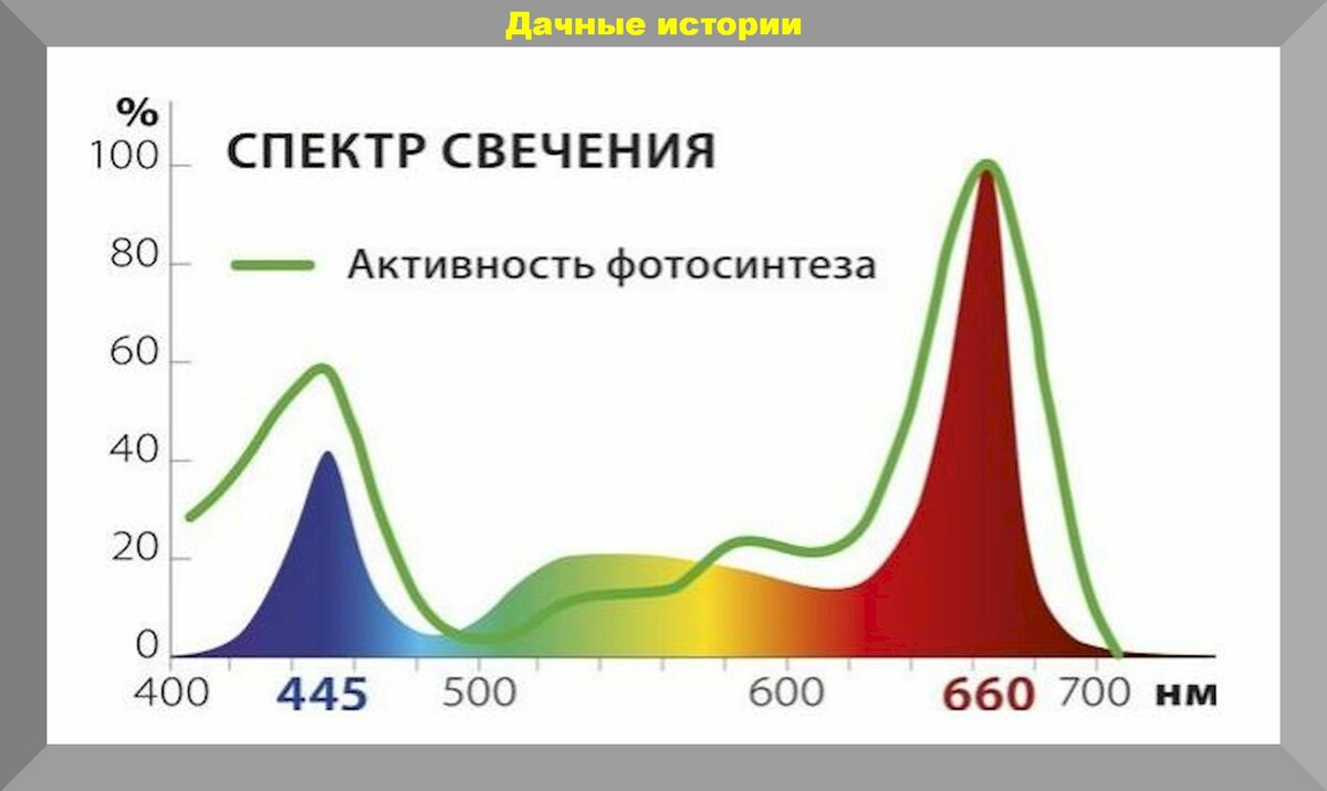 Без потери эффективности меняем фитолампу для рассады стоимостью 2500, на простую энергосберегающую за 250