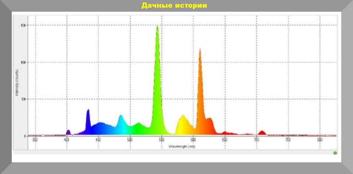 Без потери эффективности меняем фитолампу для рассады стоимостью 2500, на простую энергосберегающую за 250