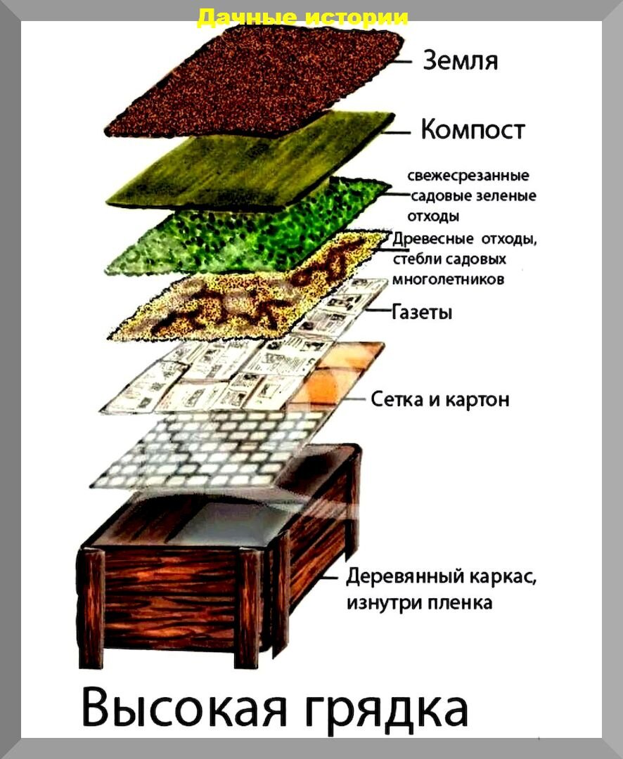 Три способа изготовления высоких грядок: богаче урожай при меньших затратах