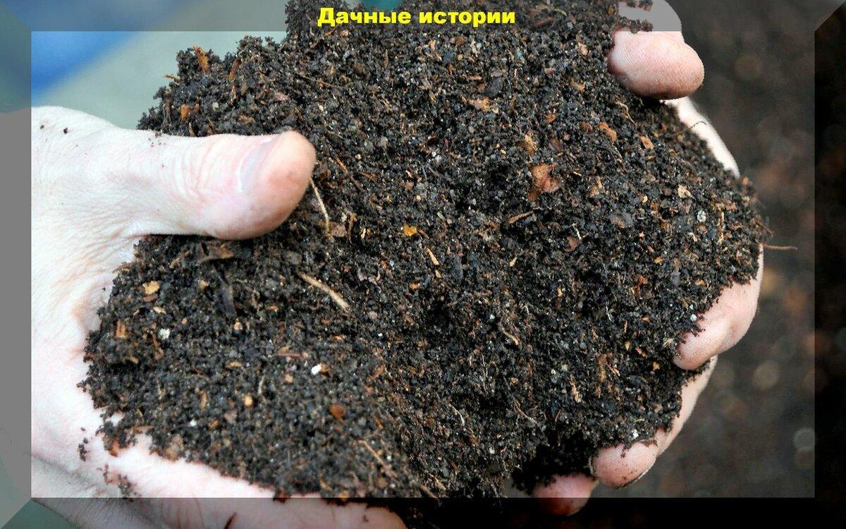 Закапываем органику в землю или "ленивый" компост, без компостной кучи: основные правила