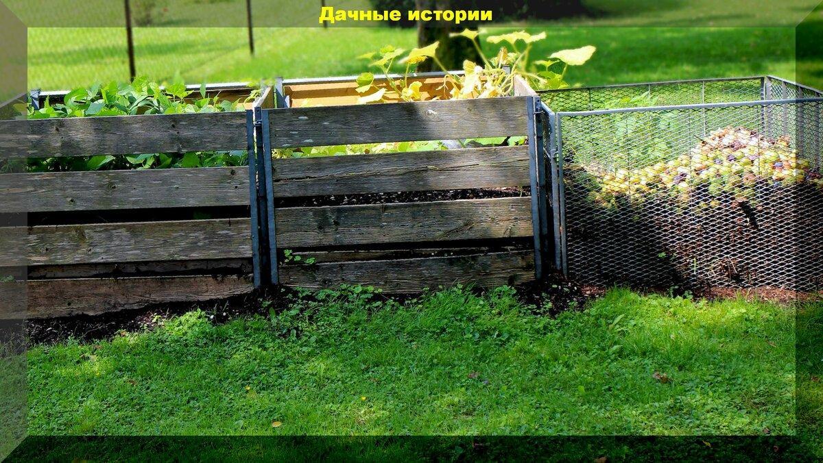 Закапываем органику в землю или "ленивый" компост, без компостной кучи: основные правила