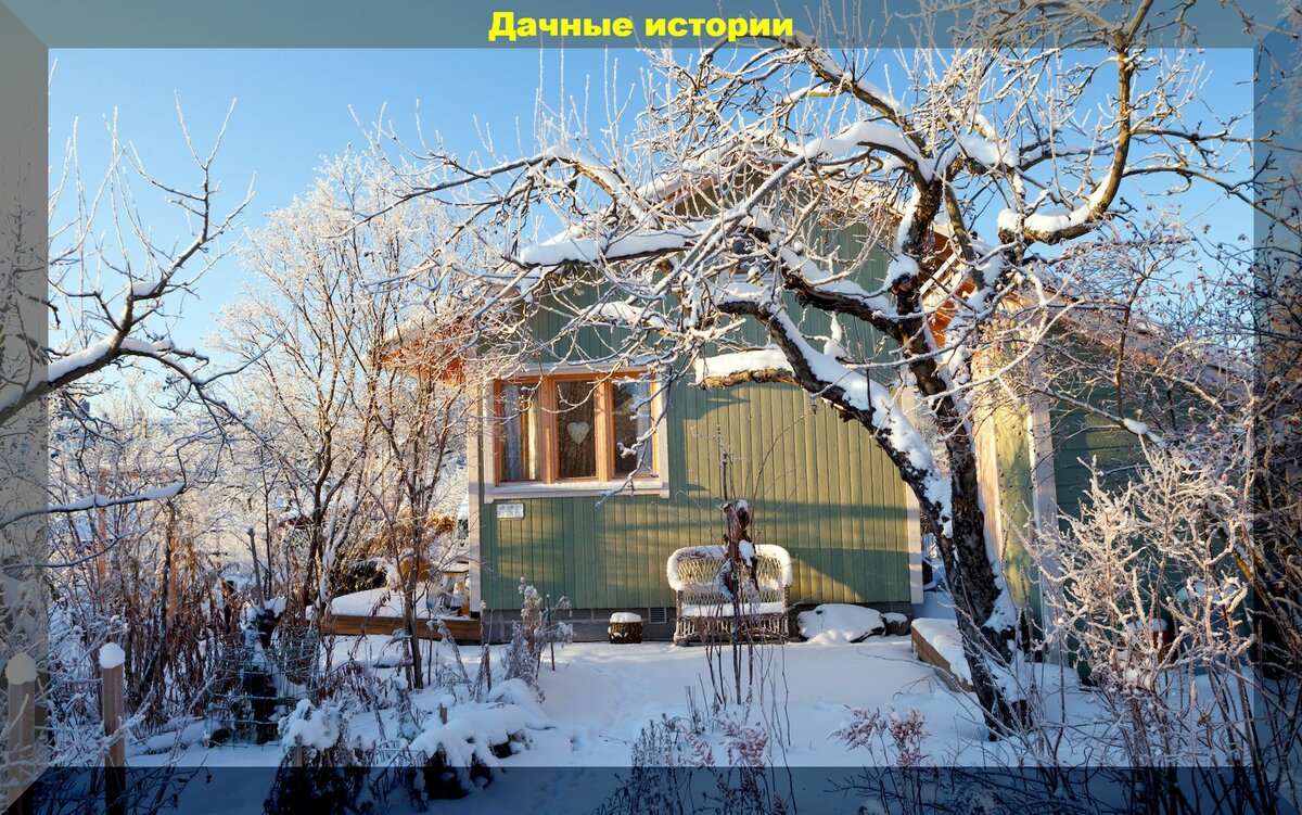 Сезон давно закончился, а почва не подготовлена: замена сидератов и секреты ухода за участком в преддверии зимы