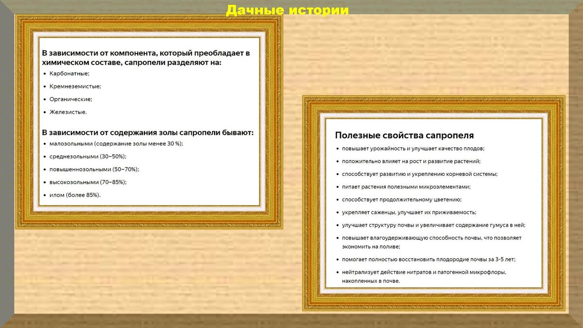 Сапропель: уникальное удобрение со дна водоемов для вашего сада и огорода