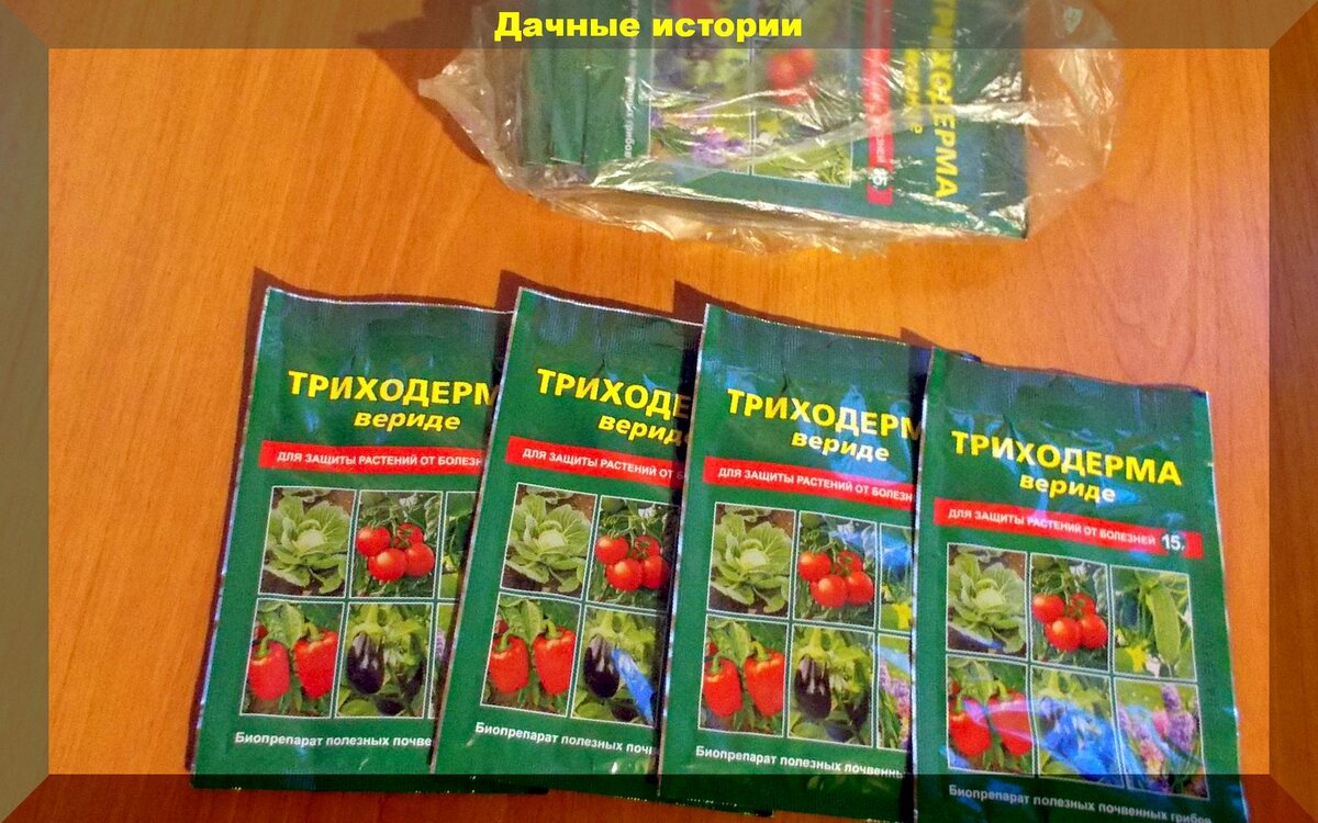 Как сохранить биопрепараты всю зиму: усыпляем биопрепараты на зиму и пробуждаем весной без потерь