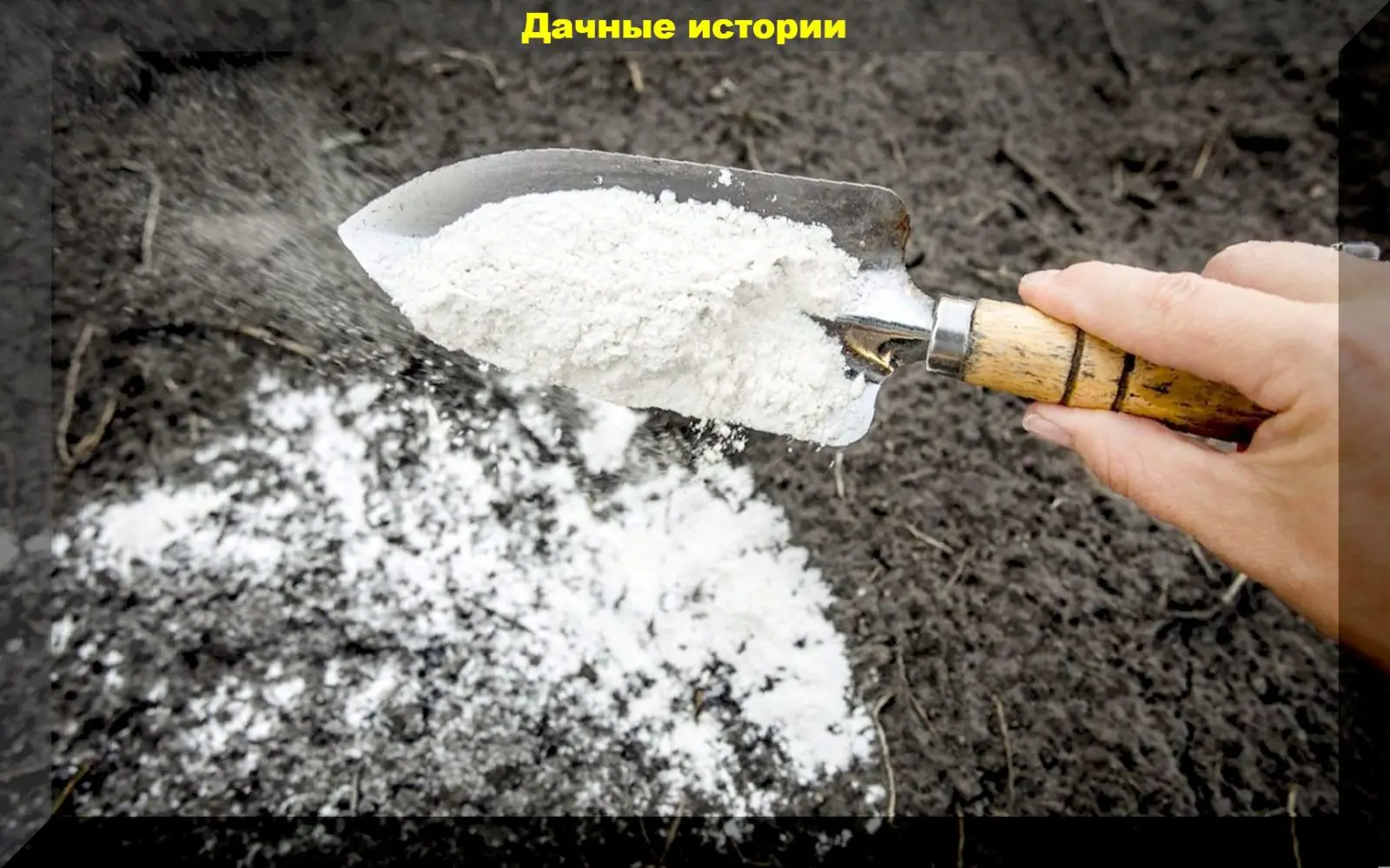 13_result