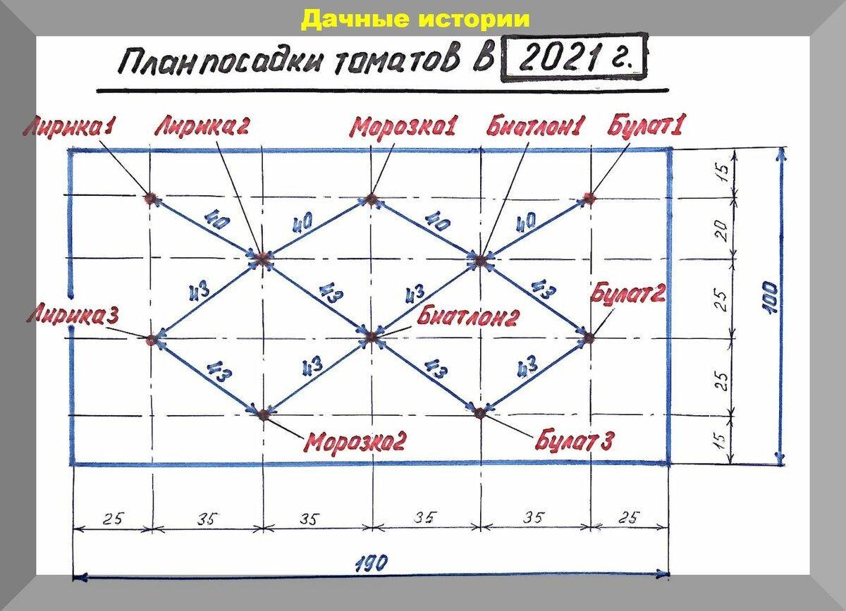 Детерминантные томаты: 40 кг с квадратного метра не предел. Методика выращивания томатов от Василия Корнилова