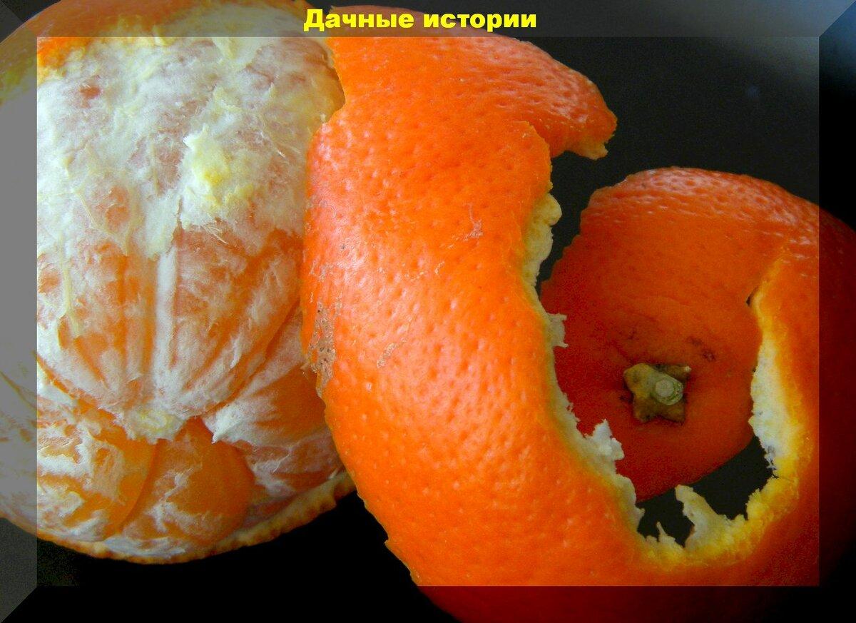 Мандариновая кожура. Не выбрасываем, чтобы применять с пользой в саду и огороде