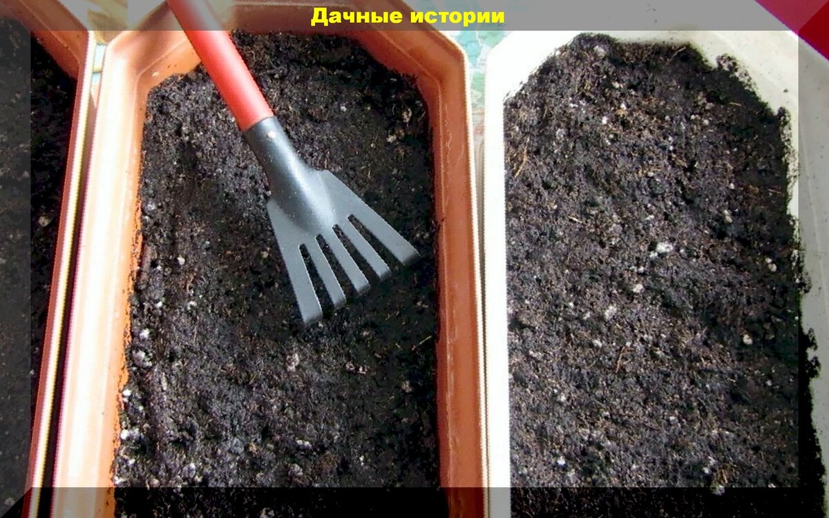 Несколько рецептов грунта для рассады: как самим правильно смешать и приготовить землю для выращивания рассады