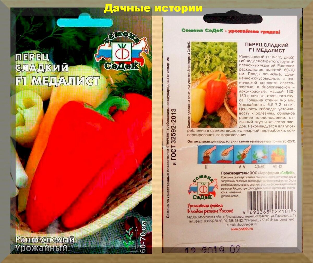 Список лучших сортов перца: раннеспелые, но при этом урожайные и недорогие сорта конусных болгарских перцов
