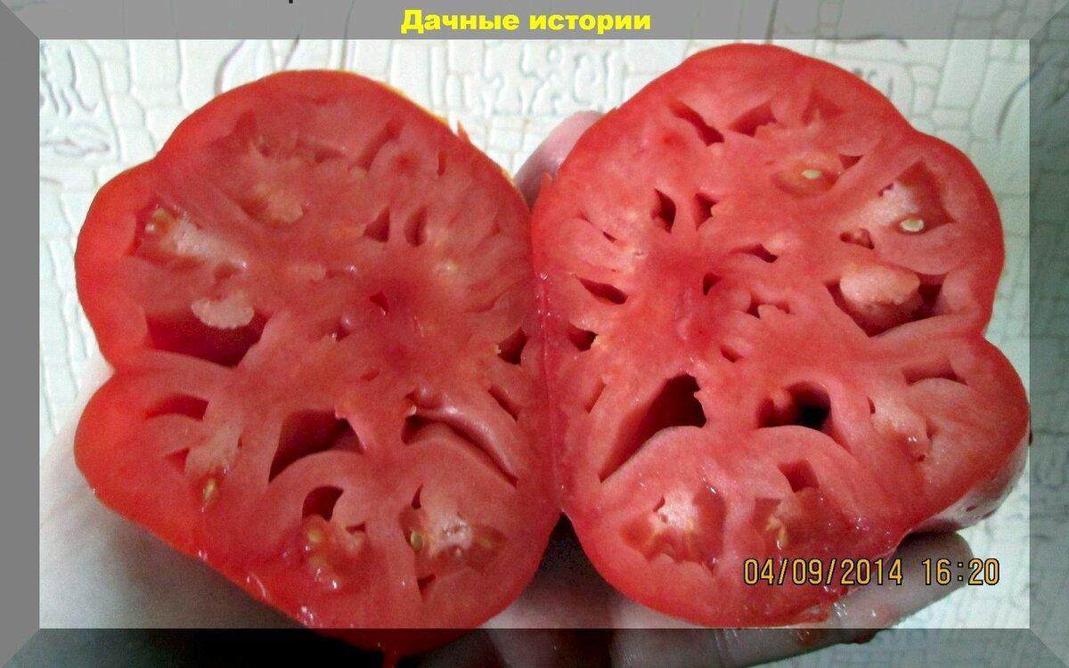 Два с половиной десятка необычных томатов - заслуженные лидеры помидороводчества