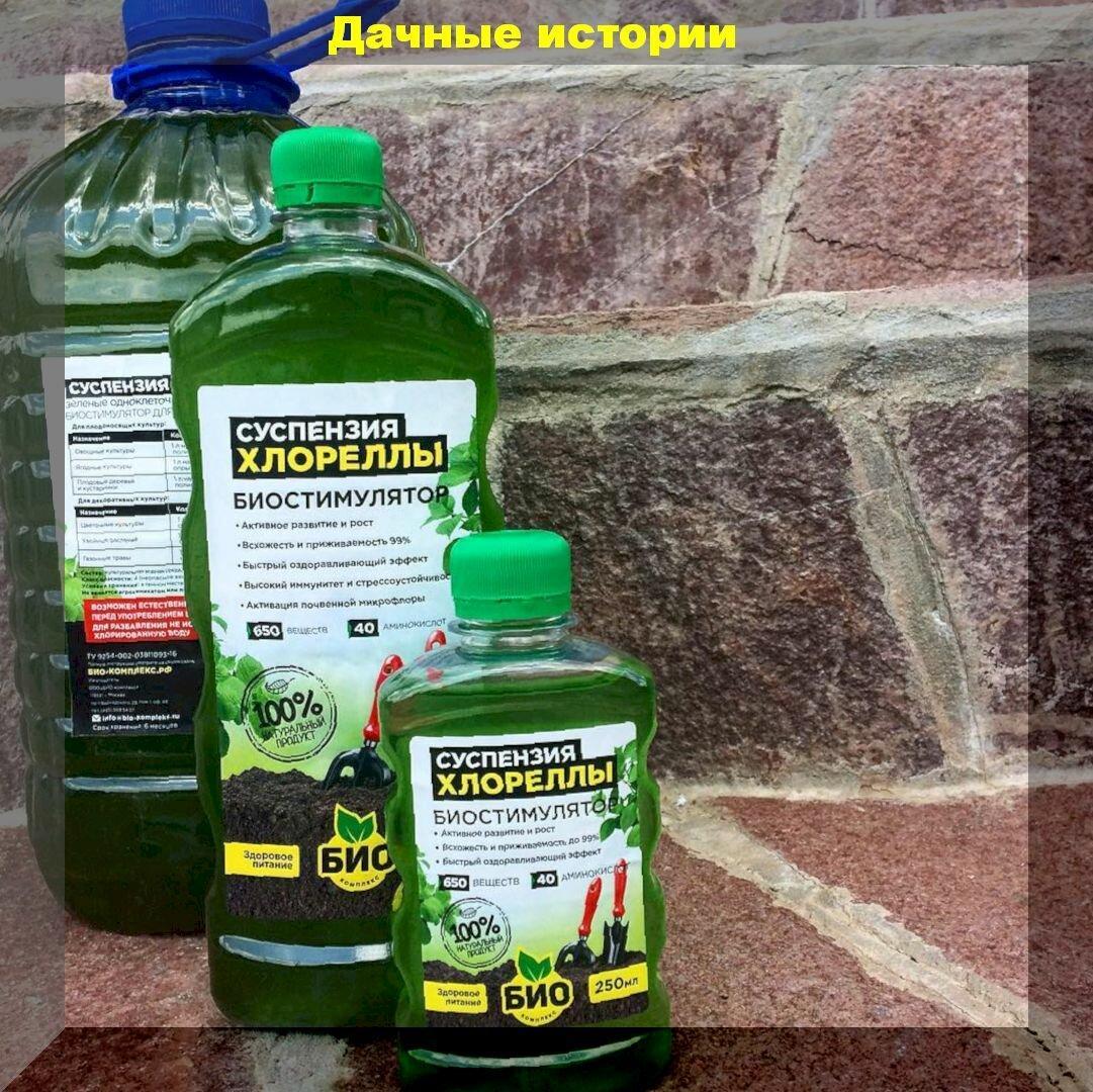 Три главных причины использовать суспензию хлореллы во время посева семян