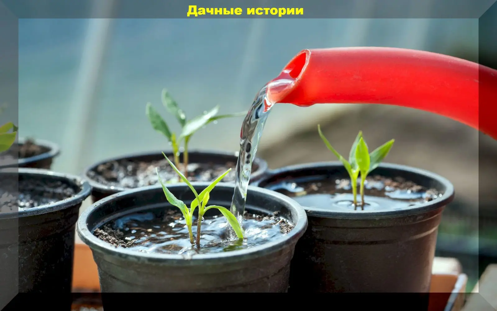 111_result