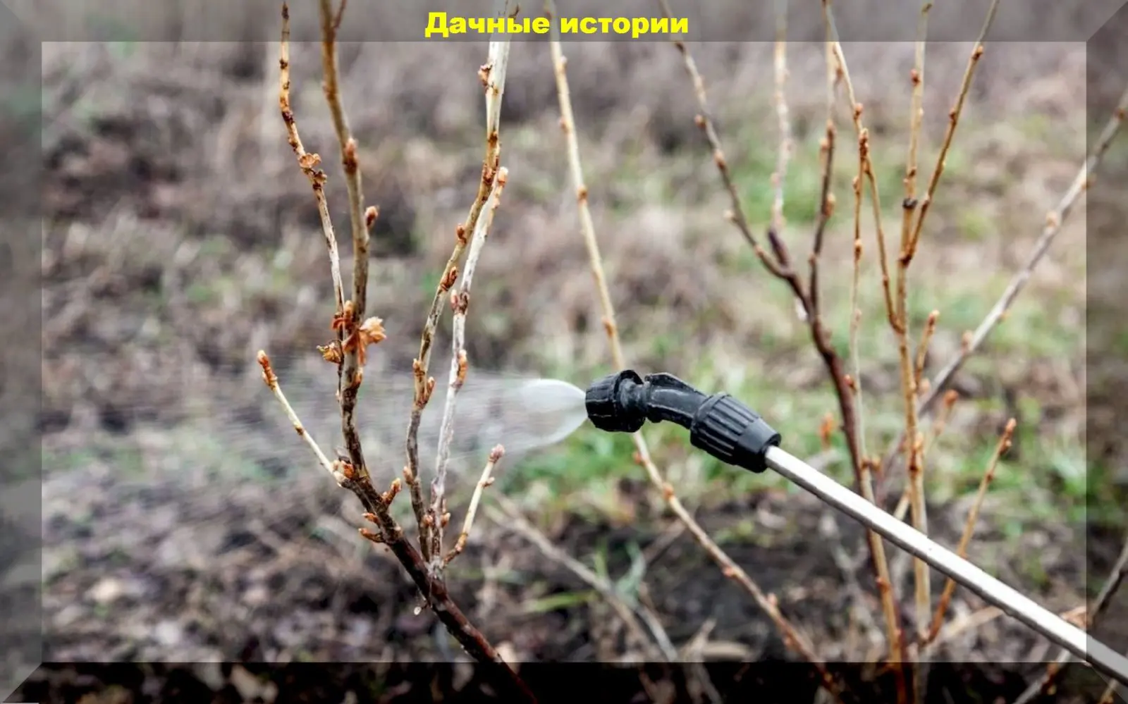84_result