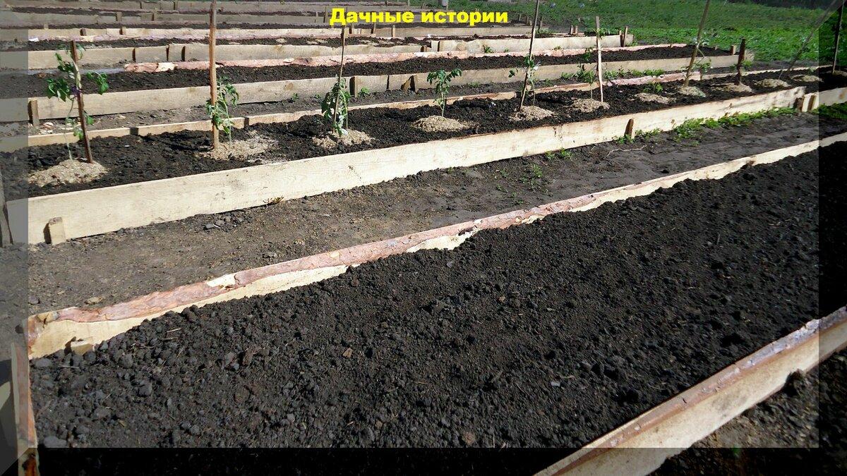 Хватит копать огород: технология no-till (без перекопки) и принципы органического земледелия в условиях дачного участка