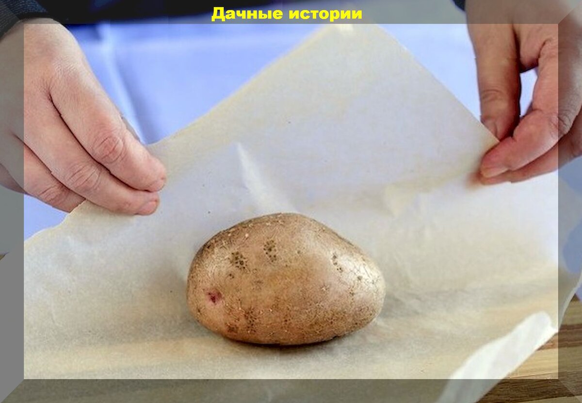 Как бороться с нематодой на картофеле: простейший, но эффективной способ посадки картофеля с защитой от нематоды