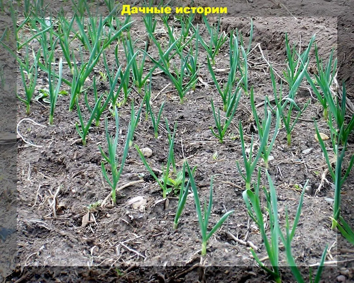 scale_1200 — 2023-04-19T123815.626