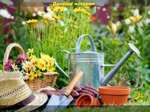 Июль заканчивается - работы на участке которые важно не пропустить: подкормить, посеять, обработать, убрать урожай