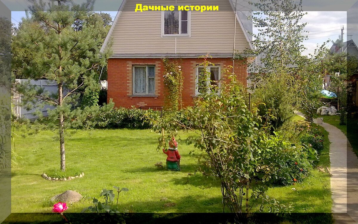 Дачные вопросы и ответы: почти сорок часто задаваемых вопросов от огородников