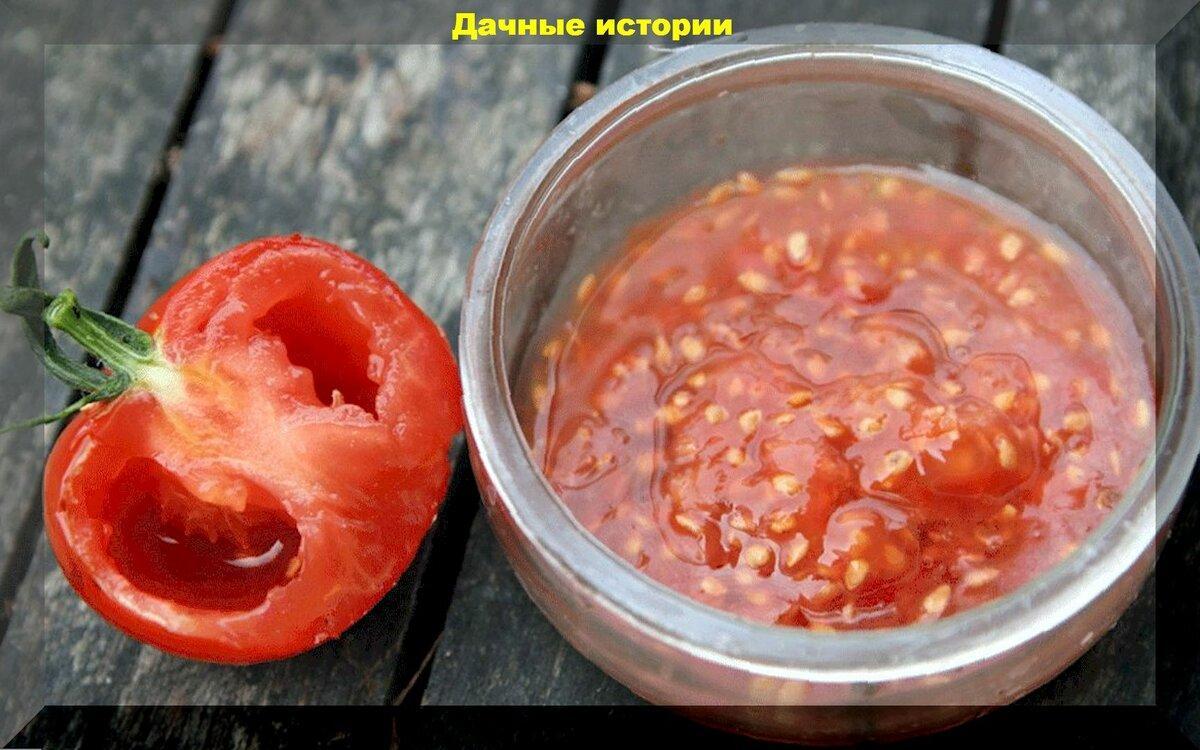 Нюансы выращивания томатов в августе: хлороз и желтые плечики, как ускорить покраснение томатов, как правильно собирать семена