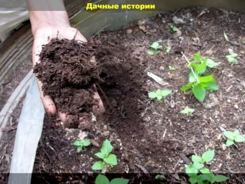 Как правильно приготовить безопасный компост и заготовить грунт для рассады осенью